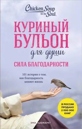 Куриный бульон для души. Сила благодарности. 101 история о том, как благодарность меняет жизнь
